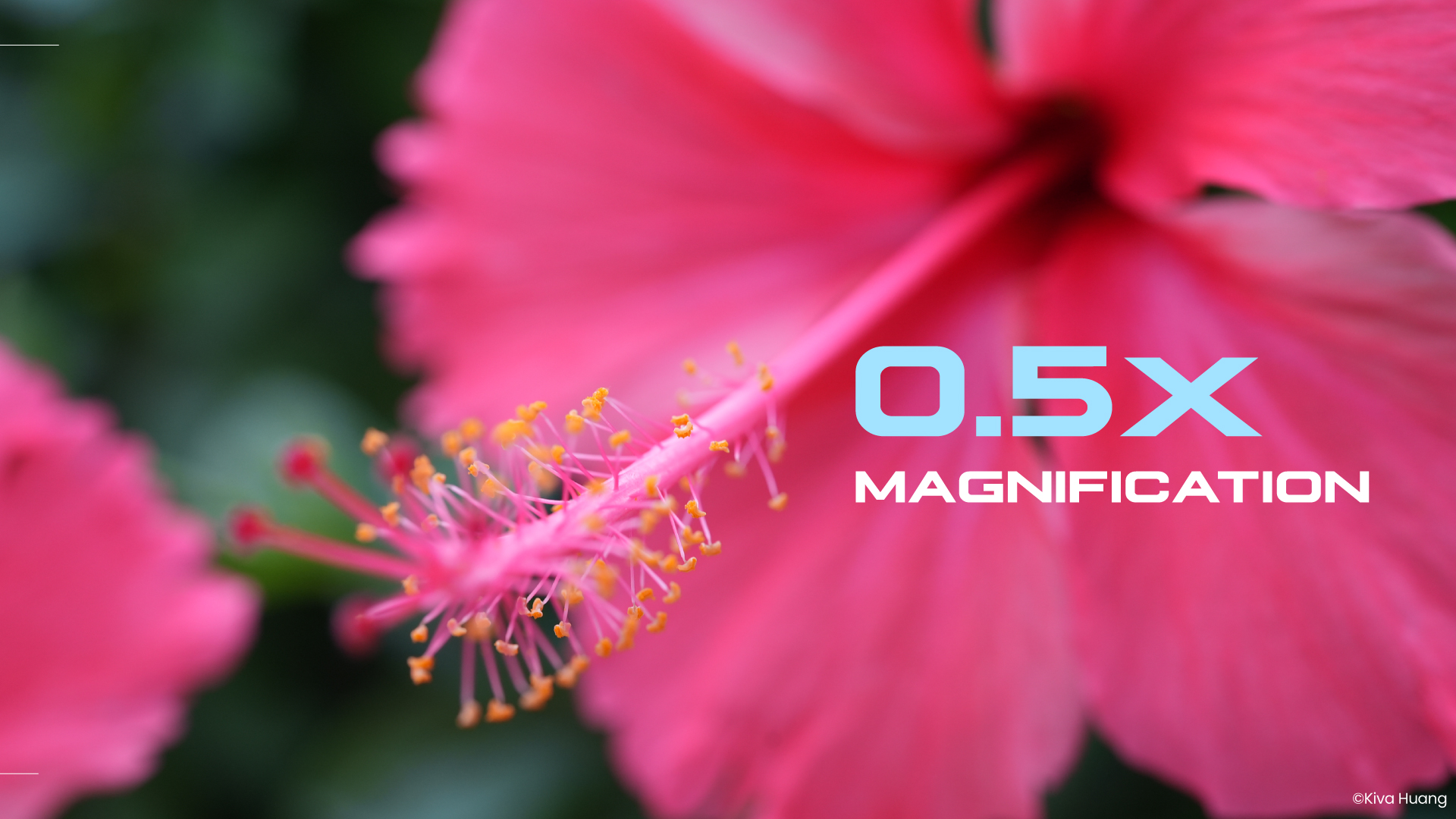 35mm tilt shift feature 0.5x Magnification