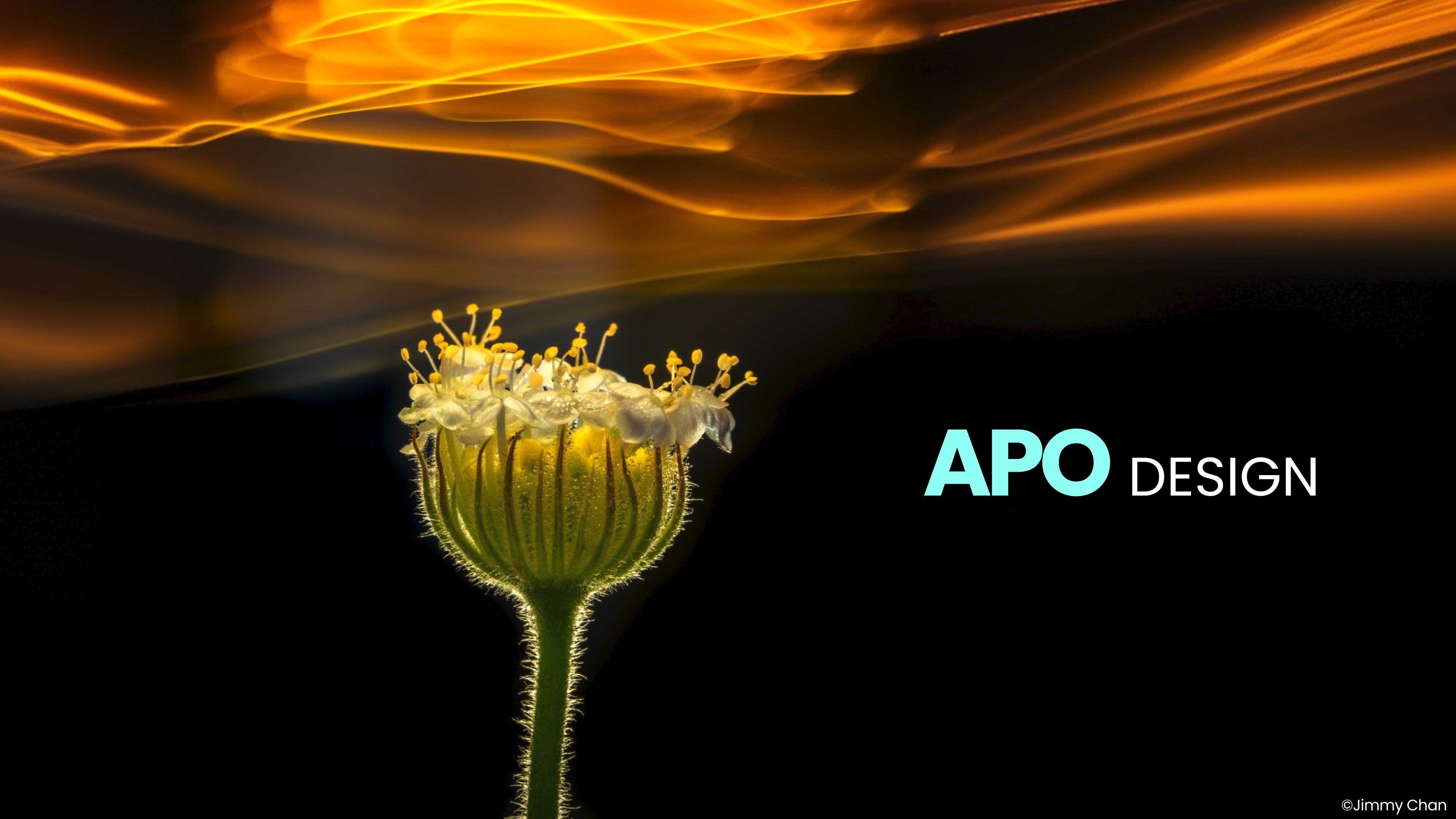 Apo Design