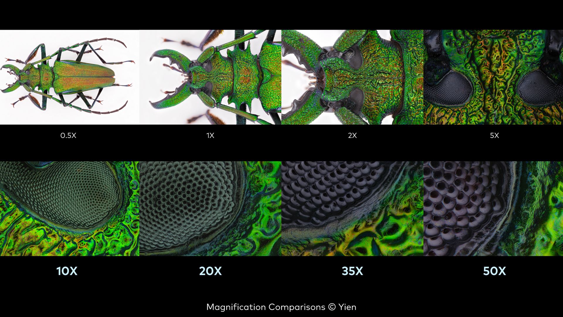 Laowa Aurogon Magnification Comparisons