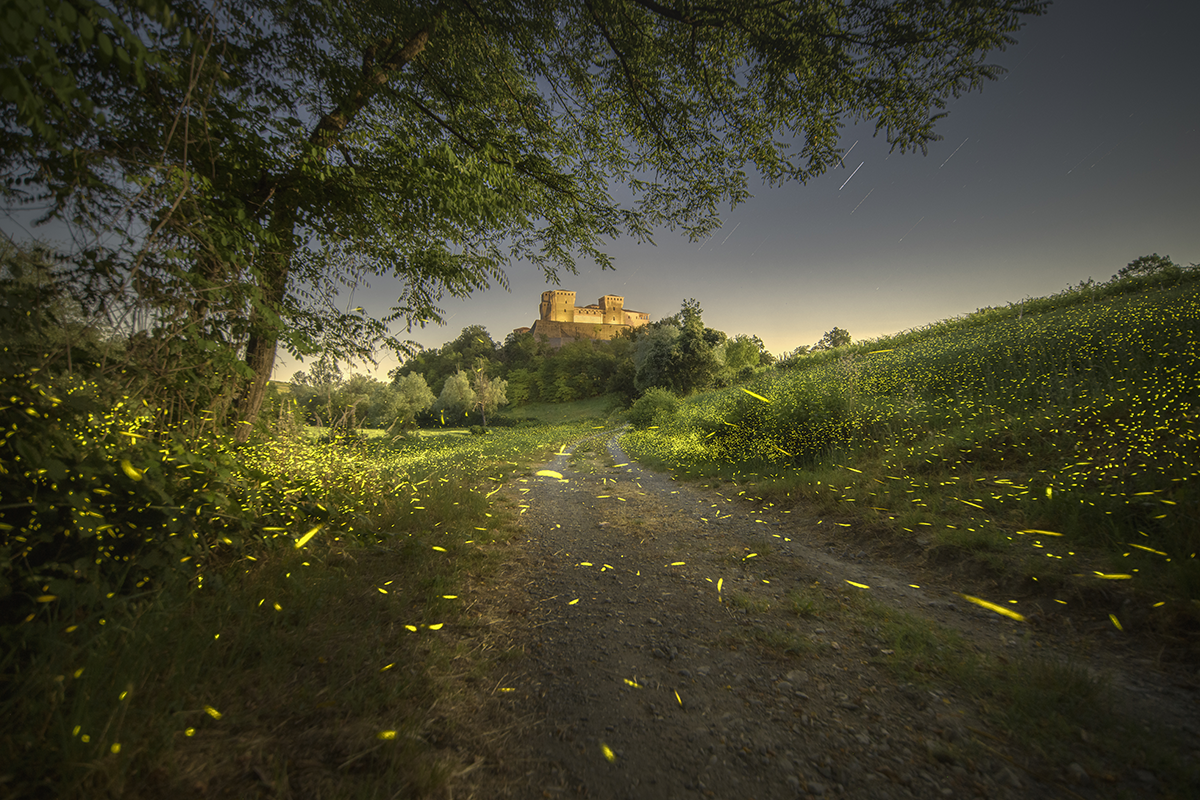 Foto © Alberto Ghizzi Panizza