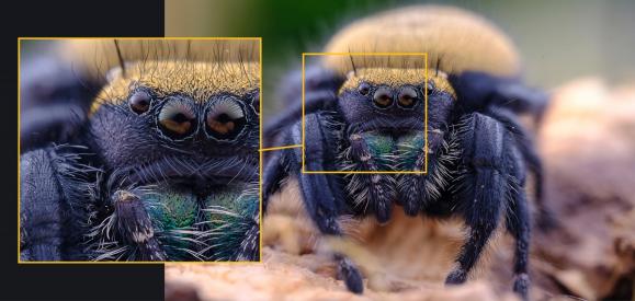 Laowa 65mm f/2.8 2X Macro APO