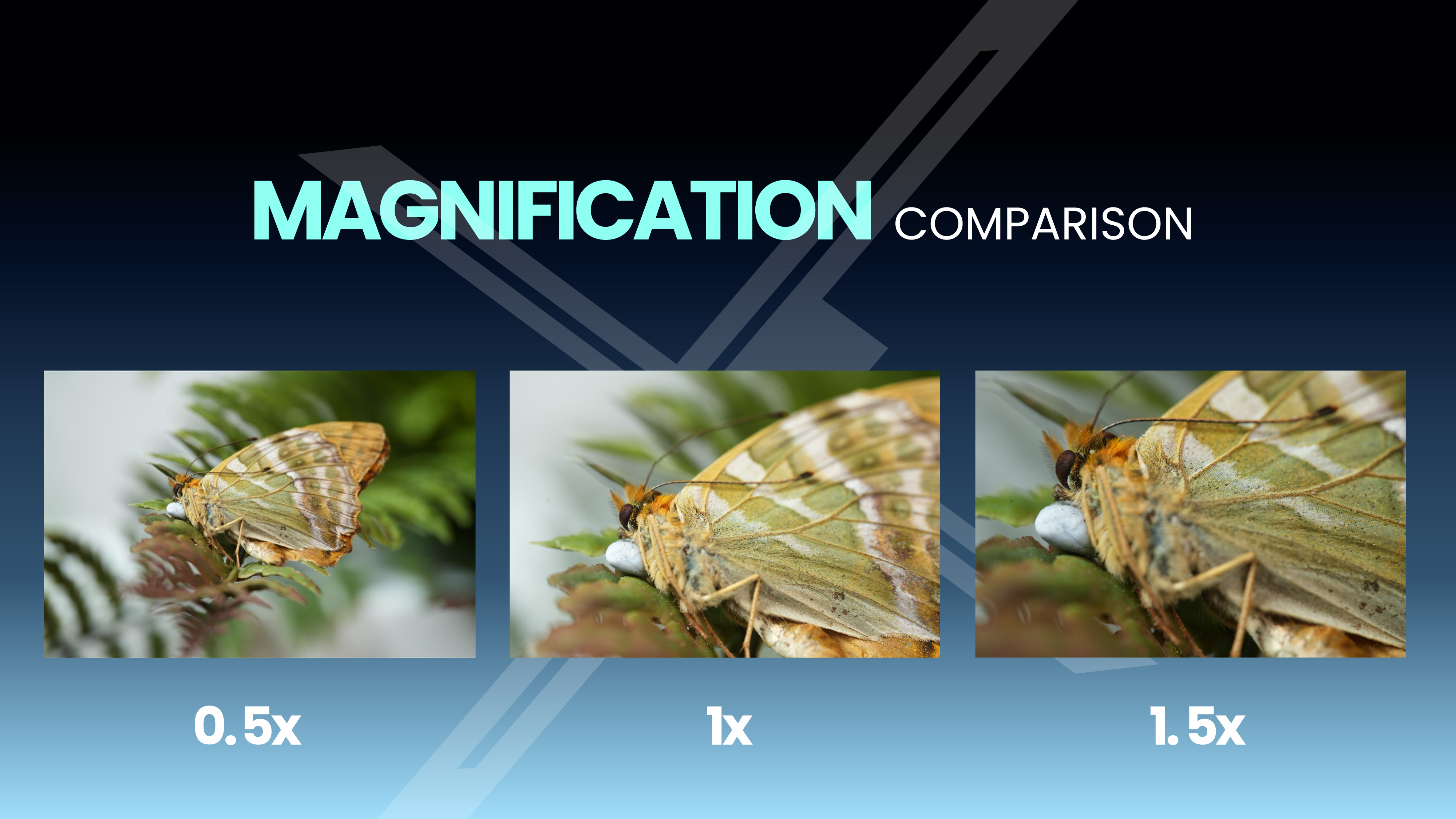 Magnification Comparison