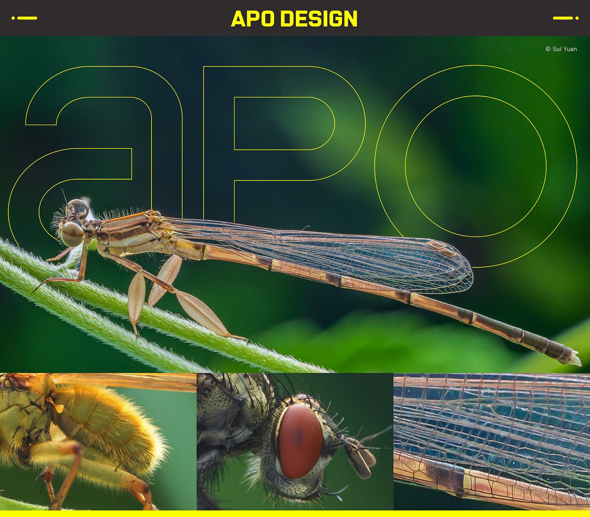 Design APO