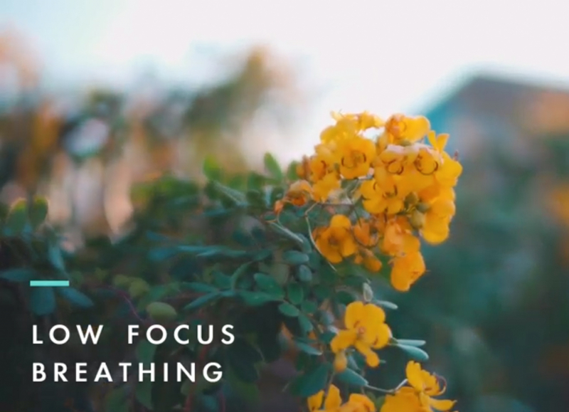 Focus Breathing Minimo
