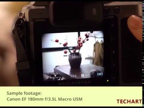 Video YouTube